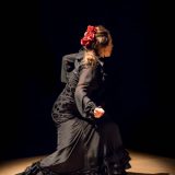 Irene La Sentío. Bailaora de Flamenco
