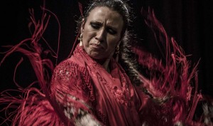 Tablao "Casa del Arte Flamenco" @ Casa del Arte Flamenco | Barriada Primero de Mayo | Andalucía | España