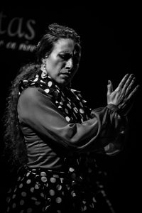 Dinamiko Flamenco Festival (Gelsenkirchen) @ Dinamiko Flamenco Festival  | Gelsenkirchen | Renania del Norte-Westfalia | Alemania