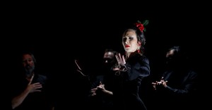 Tablao Cardamomo - Madrid @ Tablao Flamenco Cardamomo | Madrid | Comunidad de Madrid | España