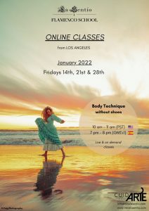 Online class - Body technique without shoes